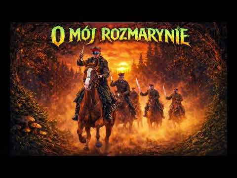 O mój rozmarynie -Metal Cover - mocne riffy - @PoetryBeats#muzyka #music #heavymetal #cover #poetry