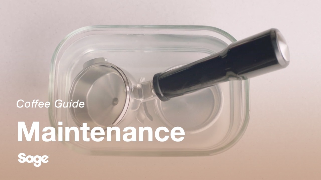 How to clean portafilter and filter basket