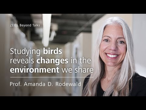 ZEISS Beyond Talks – Studying birds reveals changes in the environment we share