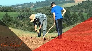Miniatura do vídeo