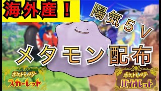 【海外産】陽気H抜け５Vメタモン配布【ポケモンSV】