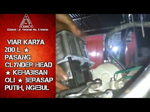 Bagaimana meningkatkan dan memperluas potensi Seledri resep untuk impotensi
