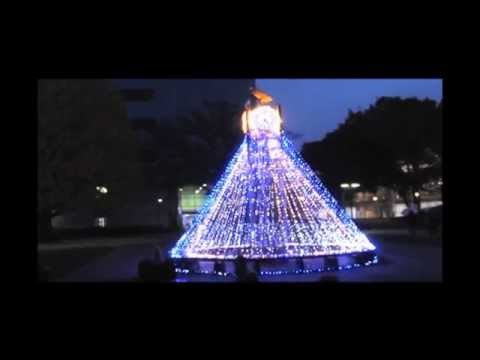 ２０１４東経大イルミネーション点灯式