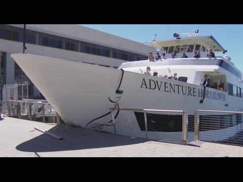 Boat Crashes into San Diego Dock [CAUGHT ON TAPE]