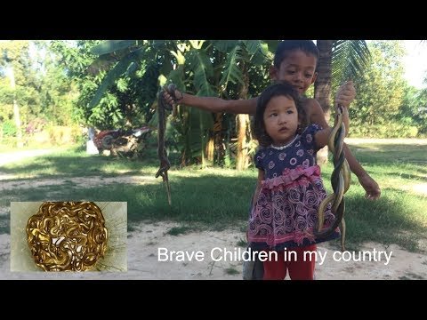 Great! Brave Children Catch Big Snake With Hand - Wow Easy to catch