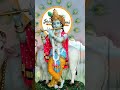 Radha Rani Hme Bhi Bata Do Jara New Status Shorts Krishna Radheradhe