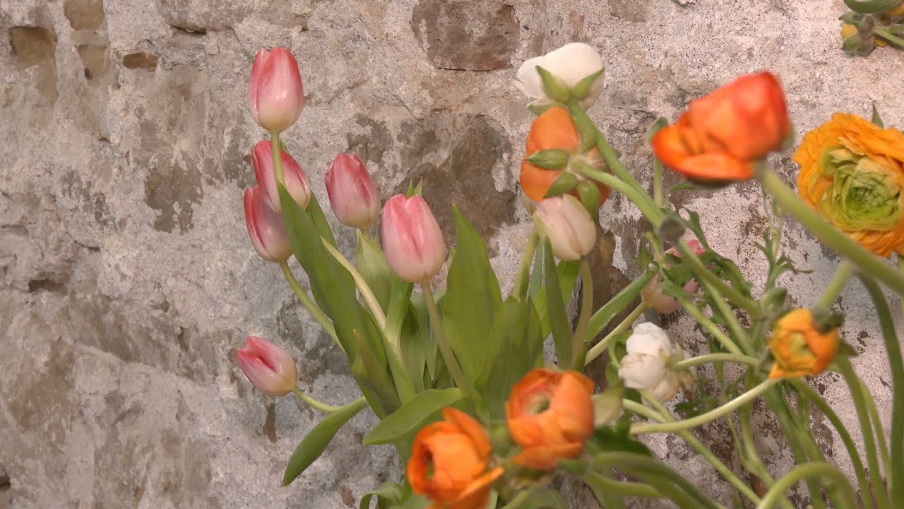 Comienza el programa de la Semana de la Mujer