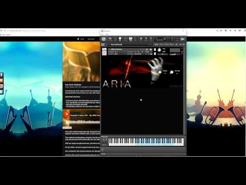 Hands on Aria Solo Violinist