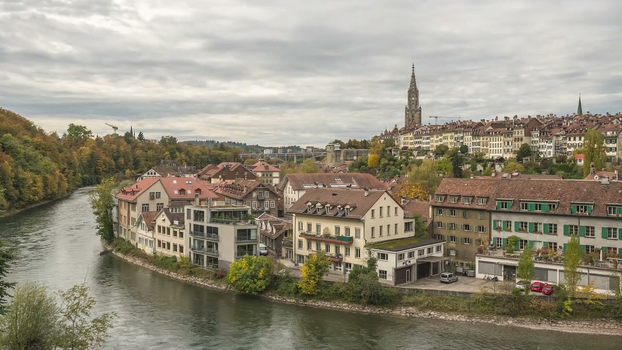 Your emotions are valid, embrace them 🌴 Lofi Hip Hop Radio - Deep Focus [ Calm - Relax - Study ]