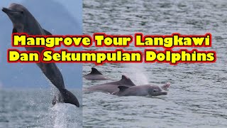 Langkawi || intresting || pelancongan || Mangrove Safari Tour || Dolphin || Ikan Lumba-lumba