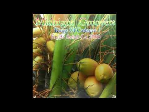 Midnight Groovers - Mal Palan (Official Audio)