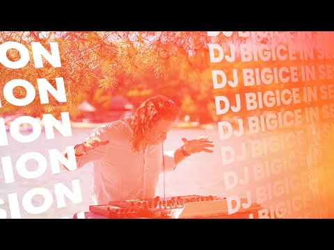 DJ BIGICE - 28 August vol. 17 (DJ SET Afro House, Latino House, Tech House)