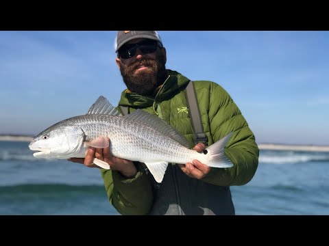 Wintertime Redfish Schools (HOW TO FIND AND CATCH)