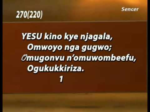 A270(220) Yesu kino kyenjagala