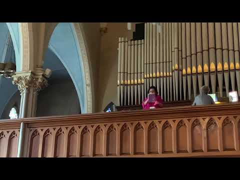 Promotional video thumbnail 2 for Harp & Soul & Song