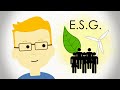 E.S.G. Investing - What it Means and Its Pros/Cons