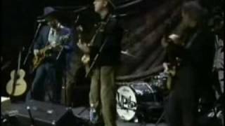 Webb Wilder - Looking For A Fool