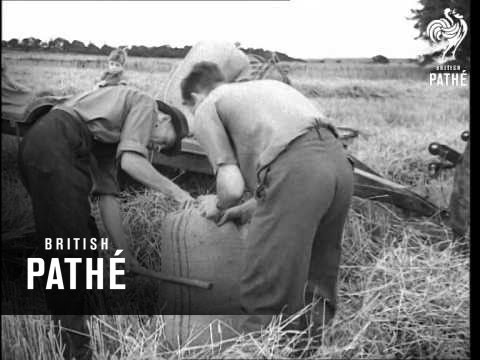 Harvest Story (1948)