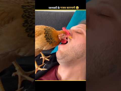 funny Animals video 😂 #funny #funnyanimals #shorts