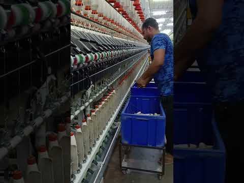 Manual Doffing in Ring Frame Machine//Spinning mill//Short Video