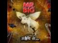 As Far As I Can See - Mr. Big