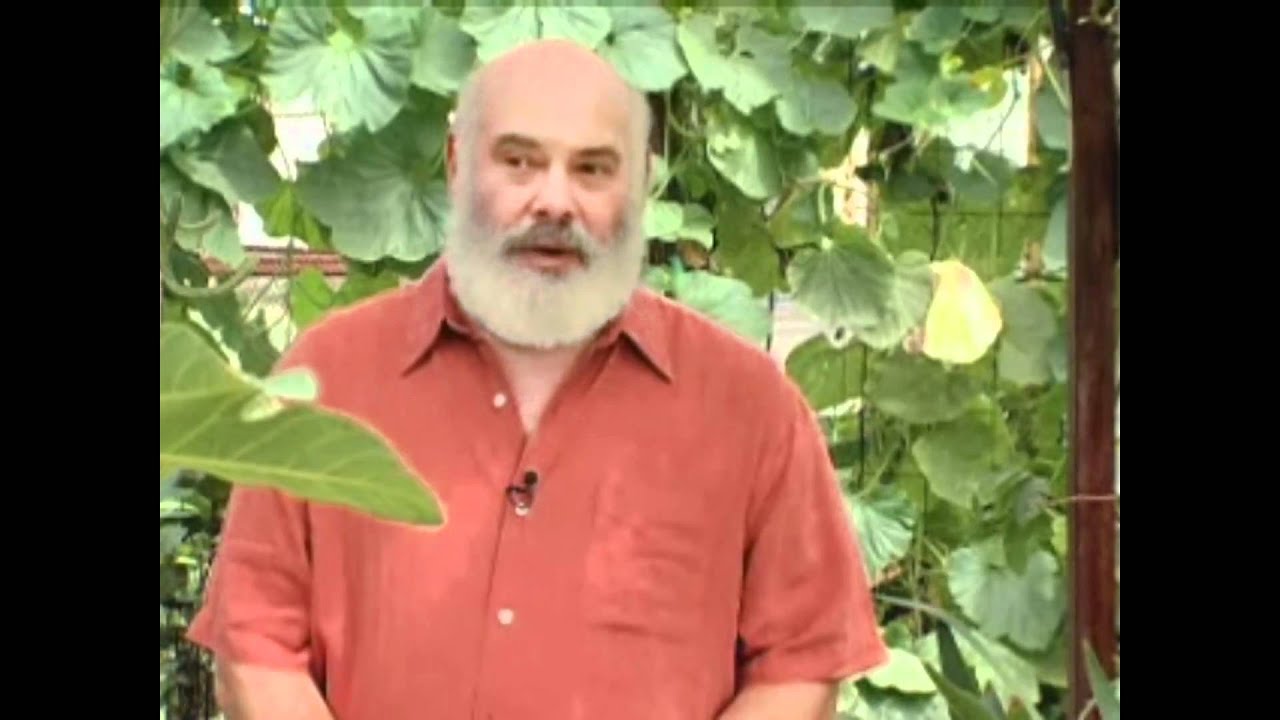 How Do Supplements Fill Dietary Gaps | Andrew Weil, M.D.