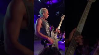 D R E A M C A R  Born To Lie