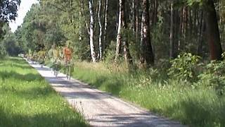 MOBY GRAPE ~It's a beautiful day today~ HEGERWALTERBAND PaludaRecords ISRC NLL280500034