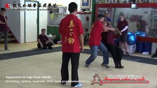 Separation in Taiji Push Hands Training - Master Chen Zhonghua