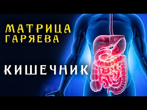 Единственная Матрица Гаряева для Кишечника ☀️ Квантовое исцеление Кишечника звуком
