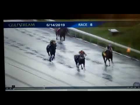 King Humor - El Coraje.