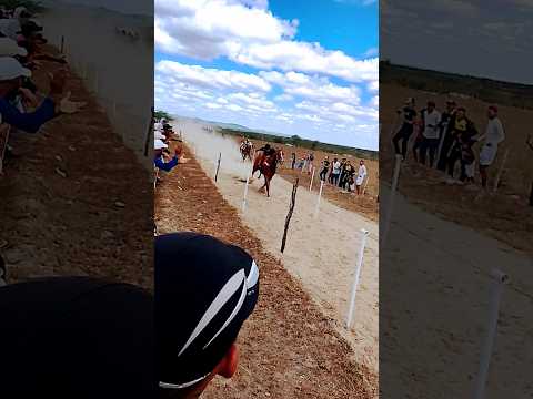 corrida de prime no sítio capiá da igrejinha Canapi Alagoas...