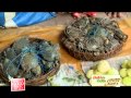 Gastronomical Delights Of Alibaug