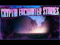 3 True Scary Cryptid Encounter Stories | "My Mom Saved Me From SOMETHING"
