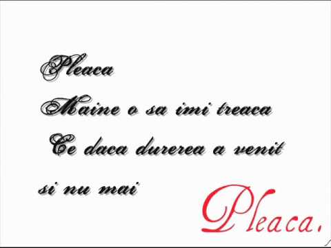 Vunk - Pleaca [ ft. Antonia. ]