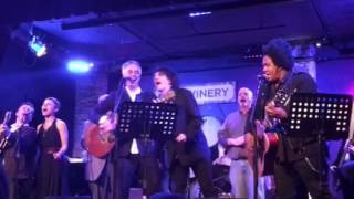 Wesley Stace's Cabinet of Wonders