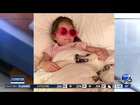 It's National Dog Day - meet our anchor's pups