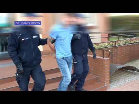 Policjanci zatrzymali sprawcę licznych i uciążliwych kradzieży oraz włamań. Trafił do aresztu.