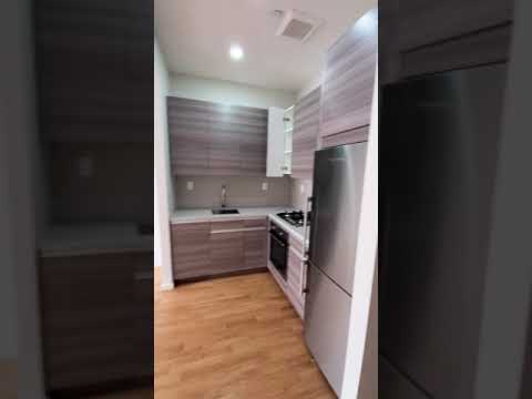 video 1