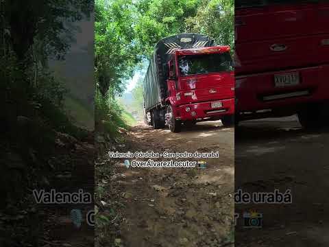 Pasarelas de camiones valencia córdoba san pedro de urabá