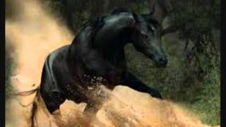 The Captain Pugwash Experience - Black Beauty/Chitty Chitty Bang Bang