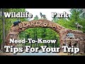 BEARizona Drive Thru WildLife Park In Williams Arizona Walk Thru Park Review Tips Flagstaff