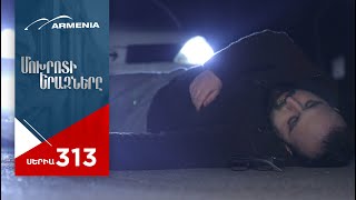 Մոխրոտի Երազները, Սերիա 313 / Mokhroti Eraznery