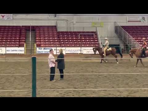 Mid summer Western limit horse 2023