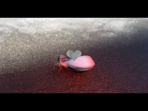 Bakkhali  a day at the Beach