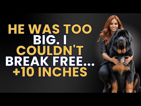 The Dog Did What?! You Won’t Believe Her Confession... | INFIDELITY STORY