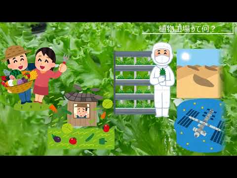 【山口大学OC2025／農学部】施設紹介（植物工場）