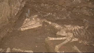 Ancient State Level Sacrificial Altar Ruins Discovered in China&#39;s Shaanxi