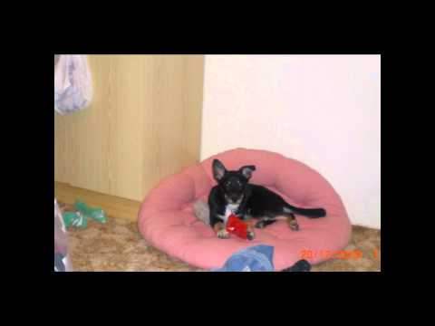 herr konkret - tid for meg sjæl