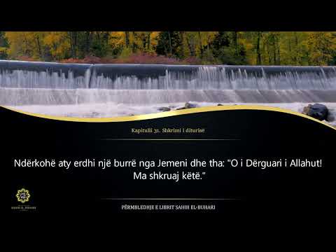 31. Shkrimi i diturisë